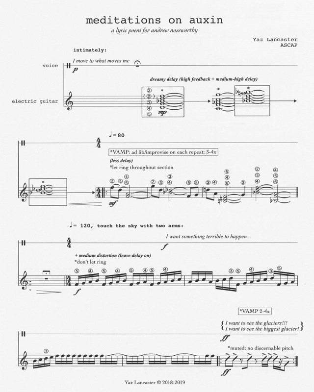 Yaz Lancaster - meditations on auxin
