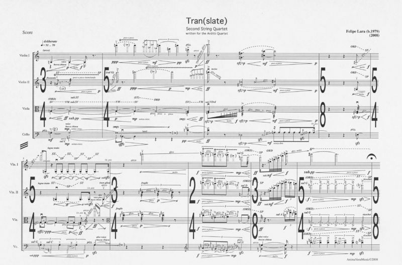 Tran(slate) - Felipe Lara