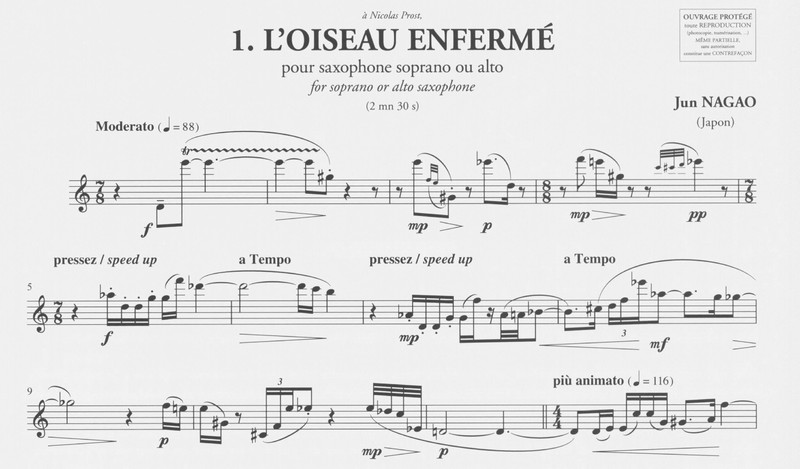 L'Oiseau Enfermé - Jun Nagao