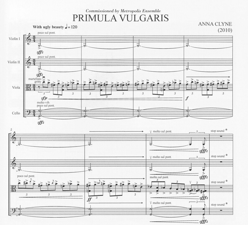 Primula Vulgaris - Anna Clyne