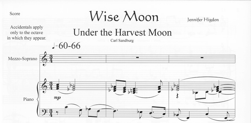 Wise Moon