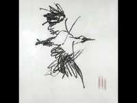 Aile du songe 1/2 - Kaija Saariaho