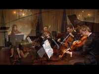 Primula Vulgaris - Anna Clyne