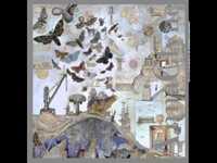 Fits + Starts - Anna Clyne