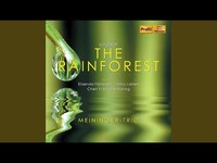 Night Thoughts - Chen Yi