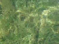 Vision and Mantra - Akira Nishimura