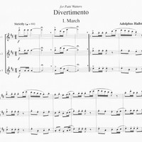 Divertimento for Flute Trio - Adolphus Hailstork