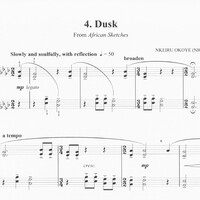 Dusk - Nkeiru Okoye