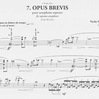 Opus Brevis - Vache Sharafyan