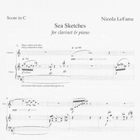 Sea Sketches