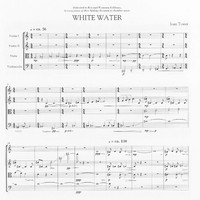 White Water - Joan Tower