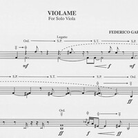 Violame - Federico García-Castells