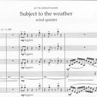 Subject to the weather - Cecilia McDowall
