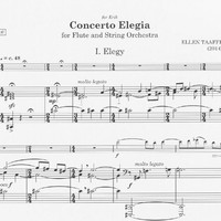Concerto Elegia - Ellen Taaffe Zwilich