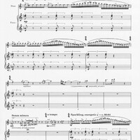 Birds of Paradise - Shulamit Ran