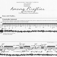 Among Fireflies for Alto Flute and Live, Interactive Electroacoustic - Elainie Lillios
