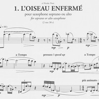 L'Oiseau Enfermé - Jun Nagao