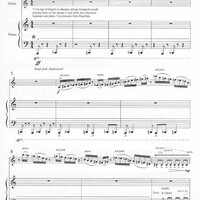 String Poetic - Jennifer Higdon