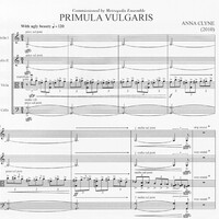 Primula Vulgaris - Anna Clyne