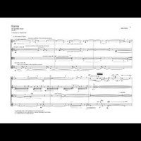 Silvio Ferraz - Litania