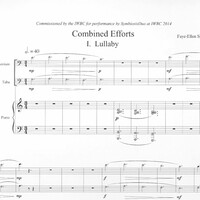 Combined Efforts - Faye-Ellen Silverman
