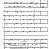 Sinfonietta on Beethoven's Eight Symphonies - Akira Nishimura