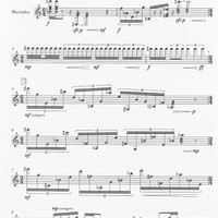 Kaori Okatani - Three Colors for Marimba Solo