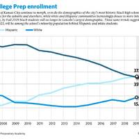 Demographics at Lincoln