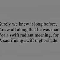 A Swift Radiant Morning - Rhian Samuel