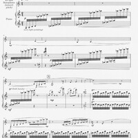 The Soulful and the Perpetual - Chen Yi