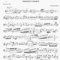 Perfect Storm - Shulamit Ran
