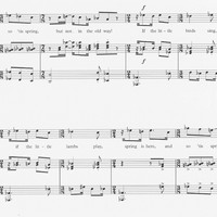 Let the Little Birds Sings - Ashley Seward