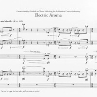 Electric Aroma - Viet Cuong