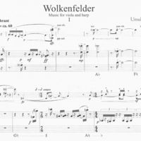 Wolkenfelder - Ursula Mamlok