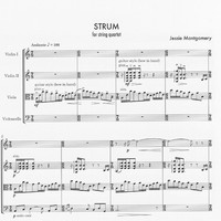 Strum - Jessie Montgomery