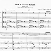Pink Breasted Robin - Elena Kats-Chernin