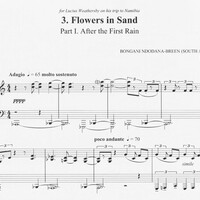 Flowers in the Sand - Bongani Ndodana-Breen