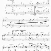 Pi-Huang (A Beijing Opera Melodic Style) - Zhang Zhou