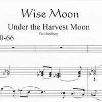 Wise Moon