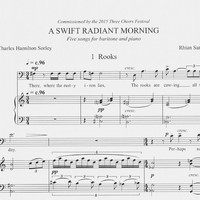 A Swift Radiant Morning - Rhian Samuel