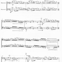 Take Two Bassoons - Thea Musgrave