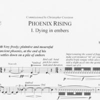 Phoenix Rising - Stacy Garrop